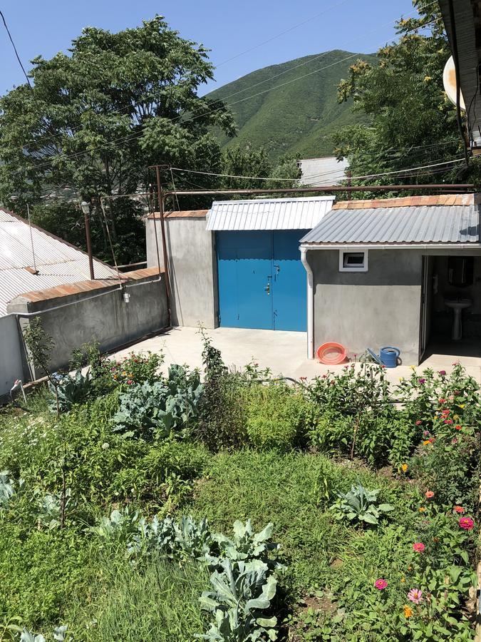 Bed and Breakfast Shaki Host House Şǝki Exterior foto